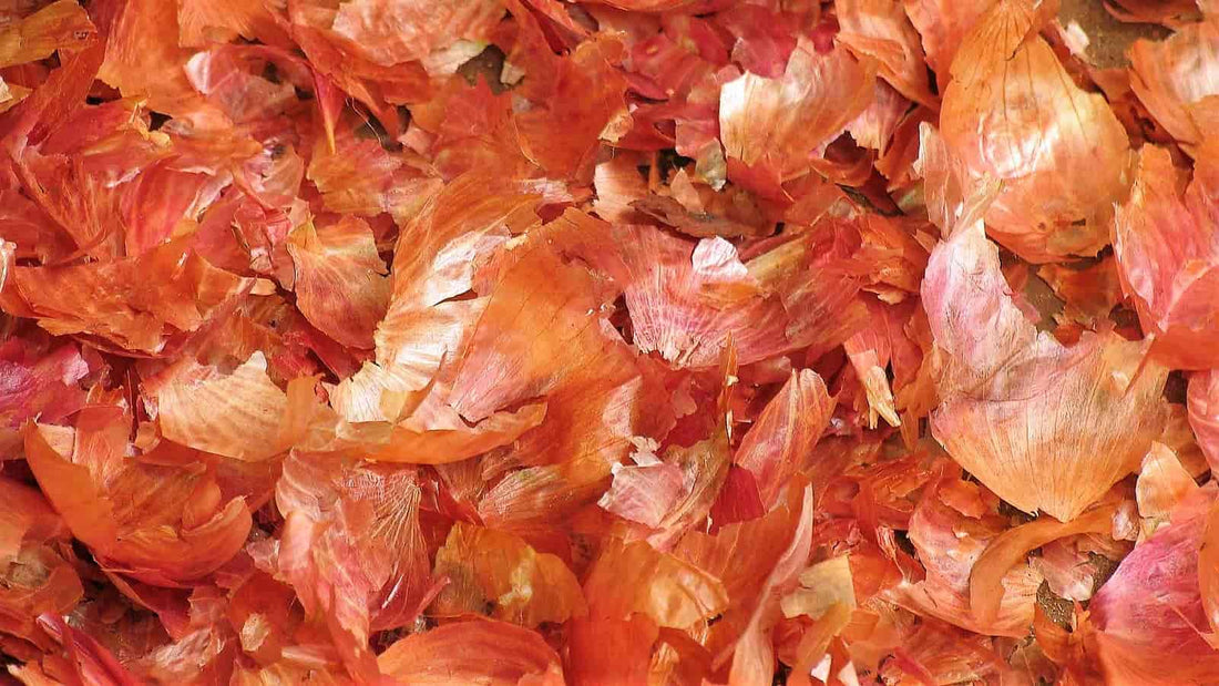 Praktyczne zastosowanie łusek cebuli w domu i ogrodzie: Naturalne rozwiązania