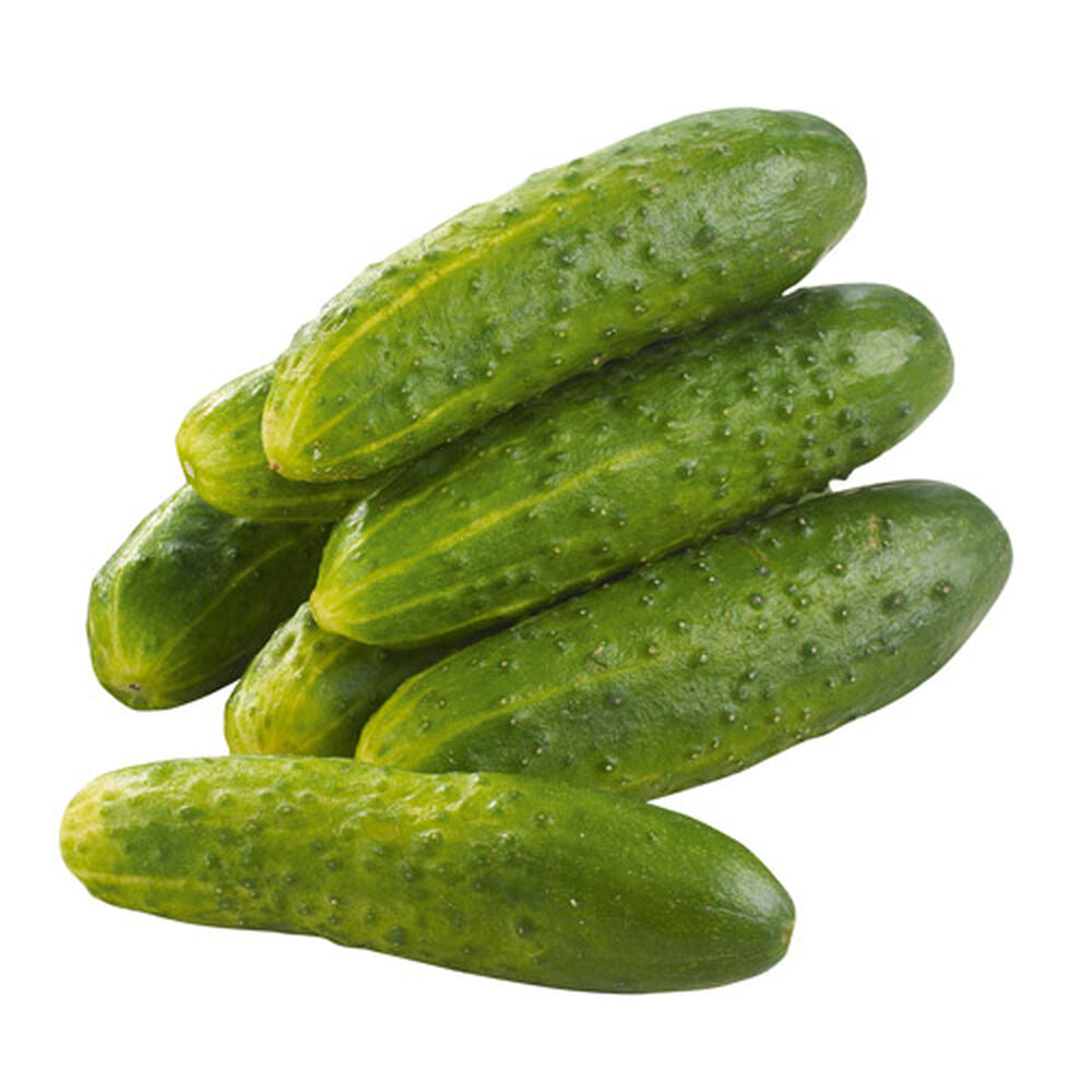 Ogórek gruntowy. /kg