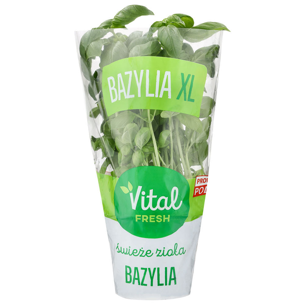 Vital Fresh Bazylia XL 1 szt.. /szt.