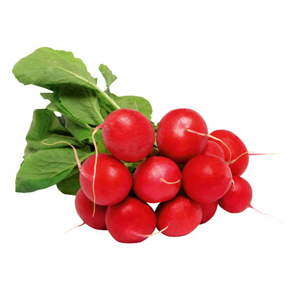 Rzodkiewka 1 pęczek. /szt.